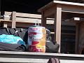 Fourcat_TER_2009 021